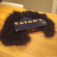 Black feather boa draped over original navy blue EATON'S box on a wooden table.