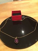 Full view of pendant and chain displayed on black surface with red box