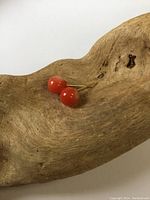 Pair of coral stud earrings placed on a piece of driftwood for display, showing size and color.