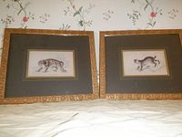 Wide view showing two framed wild cat prints side by side, illustrating their size and style.