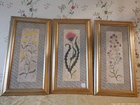 Three framed wildflower botanical prints by Zander arranged side by side, showing full view of the pictures, frames, and patterned mats.