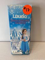 Front view of the Luccio Girl's Princess Dress Up Costume 9 pack box showing the costume with girl model in blue gown and snowflake background.