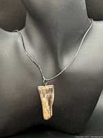 Necklace displayed on a black mannequin bust showing the pendant shape and cord length.