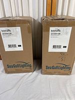 Photo of two cardboard boxes labeled Sea Gull Lighting with model number 4410501-05, showing packaging of the wall sconces.