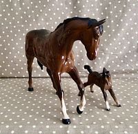 Left-front three-quarter view of the larger horse and foal standing side by side on polka dot background.