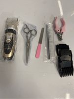 Photo of pet hair clipper and grooming accessories arranged on white surface, showing all included items.