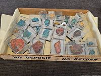 Overview of all the rock and mineral specimens arranged in a tray showing variety of colors and sizes