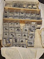 Wide view showing multiple small rock and mineral specimens in clear plastic boxes arranged in rows inside a box.