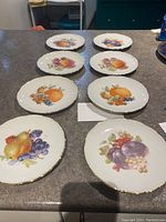 Eight collector plates displayed on a countertop, each with different fruit designs and gold trim