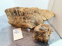 Both wood pieces on grey mat