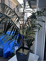 Photo showing the full faux palm tree with detailed view of its dark green leaves and black planter.