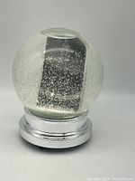 Medium snow globe with clear glass globe and silver-tone base.