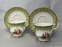 Front view of the two teacups with matching saucers showing floral pattern and green leaf detail