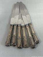 Front view of six dinner knives showing handles and blades