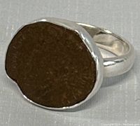 Side angle of antique coin ring shows coin surface texture and silver band shape.