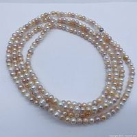 Full length view of long multi-coloured freshwater pearl necklace loosely coiled on white background.