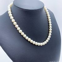 Full view of the necklace on a black bust displaying graduated white round pearls with lustrous finish.