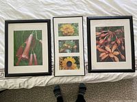 Photo showing three framed flower pictures laid out on a surface, with black frames and white mats, featuring various flower images in excellent condition.