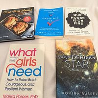 Five books arranged showing full covers and titles