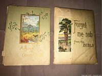 Front covers of two decorative antique books showing titles, artwork, and condition.
