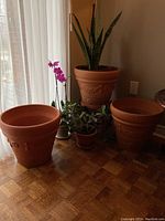 Wide view of three terracotta pots including one large pot with snake plant, two empty pots, and two small plants including a jade plant and orchid.