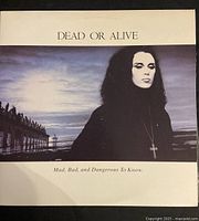 Front cover of Dead Or Alive vinyl album 'Mad, Bad, and Dangerous to Know'