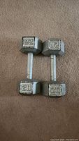 Top view photo of two 20 lb hex dumbbells laid flat on a carpeted floor, showing weight markings '20' on each dumbbell head.