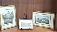 View of all three framed prints displayed on a wooden shelf, showing their size, frames, and subject matter.