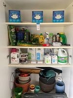 Full view of cabinet shelves filled with assorted gardening supplies including pots and chemicals.