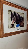 Framed picture of a wild stallion horse showing the entire framed piece hanging on the wall.