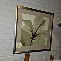 Framed floral print with visible hibiscus flower in sage tone hanging on a white painted brick wall, shown with a lot number tag 116.