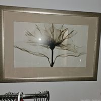 Photo of a framed translucent rose artwork by Steven Rose on a wall, showing the entire frame and artwork clearly.