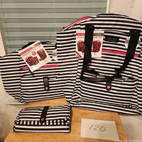 Photo showing entire set of 4 insulated bags in black and white stripes with pink accents, two larger bags standing and two smaller bags in front