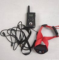 Remote, collar, and charging cable laid out on white surface