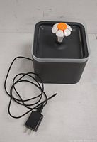 Front angled view of the pet water fountain, showing the flower-shaped spout and power cord with adapter lying on the surface.
