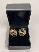 Pair of earrings inside open presentation box