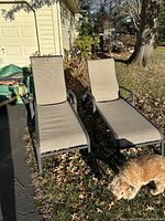 Photo of two brown outdoor lounge chairs with metal frames and fabric seats placed outside in daylight. A small dog is visible at the corner of the image.