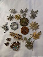 Group shot of all brooches and earrings on white background