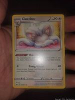 Photo showing Cinccino Pokemon card held in hand, visible front with text and image clear.