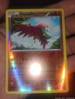 Close-up photo of the Hawlucha holographic Pokemon card held in hand showing artwork, holographic foil, and attack details.