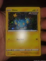 Clear image of Shinx holographic Pokémon card held by hand showing front details with holographic foil pattern and 60 HP and Rear Kick attack