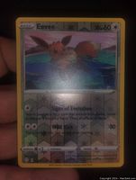 Photo of a reverse holo Eevee Pokémon card showing holographic effects and details of the card's artwork and text.