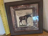Photo of a framed moose wall art piece with a ruler showing size approximately 12 by 13 inches.