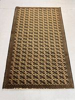 Full view of the rug showing overall pattern and size
