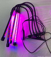 The grow light unit showing four flexible light bars illuminated with red and blue LEDs, attached to a black clip mount with wiring visible.