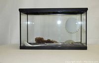 Front angle photo of a 10-gallon aquarium tank with a black frame, clean glass, and a small amount of substrate and decor inside.