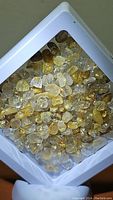 Overhead view of numerous golden rutilated quartz crystals inside a white floating display case, showcasing the mix of clear and golden needle inclusions.