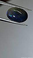 Oval black opal gemstone held in tweezers showing blue and green flashes under light.