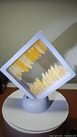 Front view of honey calcite teeth displayed in white floating frame on rotating base showing color and arrangement of individual tooth-shaped gems.