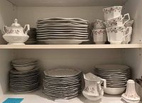 Full set of plates, bowls, teacups, teapot, and salt shaker arranged on shelves.